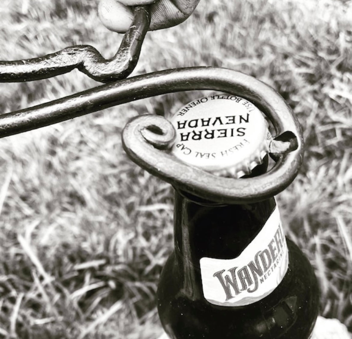 Forged Corkscrew/Bottle Opener